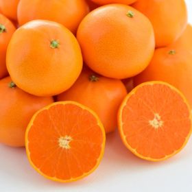 상품 이미지: (우주초특가) 제주 카라향 4.5kg 로얄과 실중량 (45~60과 내외) 가정용 / 지마켓 단독 하루특가