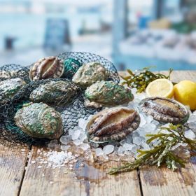 상품 이미지: 특대 완도활전복 9~10미 1kg 마리당중량 100g내외