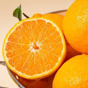 상품 이미지: (신선집중) 제주직송 서귀포 노지 한라봉 (혼합과) 10kg