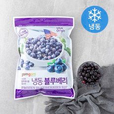 상품 이미지: 곰곰 냉동 블루베리, 1kg, 1개