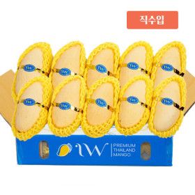 상품 이미지: 달가 태국망고 남덕마이 골드망고 5kg 항공직송 10~16입