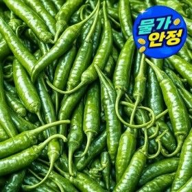 상품 이미지: (신선집중) 국내산 청양고추 상급 1kg
