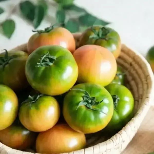 상품 이미지: 부산 명물 대저 토마토 2.5kg (못난이/주스용)