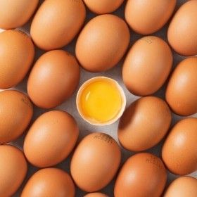 상품 이미지: 일상미당 난각번호 1번 무항생제 유기농 유정란 대란 40구(20구2세트) 1+1 할인