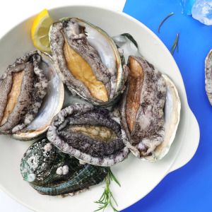 상품 이미지: (완도생협)특대 활전복 1kg 10-11미