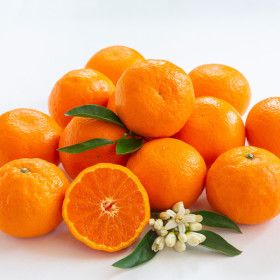 상품 이미지: 제주 특산물 농장직송 지금 가장 맛있는 만감류 카라향 2.5kg(중소과)