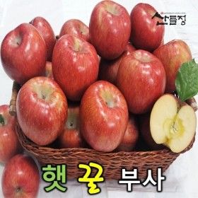 상품 이미지: 산들정/경북사과 햇 부사 사과5kg (16~20과내외)가정용 흠과 가정용 실속 못난이 사과