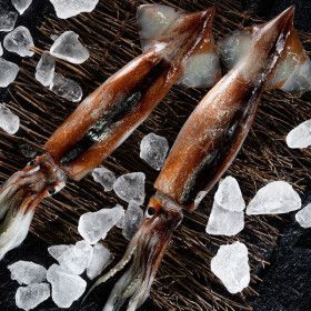 상품 이미지: (신선집중) 자연산 손질오징어 통 오징어 10미 (350gx5팩) 1750g 원양산