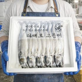 상품 이미지: (신선집중) 국내산 부산 손질 자반 고등어 10마리 총 2.3kg 내외  /2세트 구매시 1000원할인