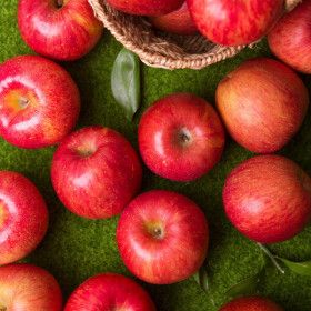 상품 이미지: (신선집중) 경북 꿀당도  부사사과 가정용 중소과 4kg 24과내외 / 무료배송 / 한 입 과즙팡팡