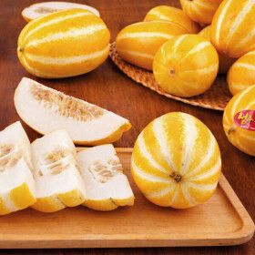 상품 이미지: (신선집중) 성주 꿀 참외 당일수확 당일발송 1.5kg 소과(8-12과)