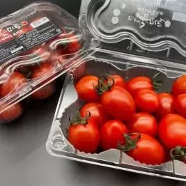 상품 이미지: 스테비아 방울 토마토 일반 500g 4팩 총 2KG