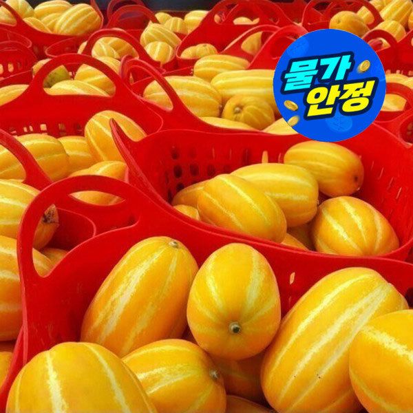 상품 이미지: (물가안정)(신선집중) 성주참외 가정용 당도선별 4.5kg 실중량 /랜덤 파손방지