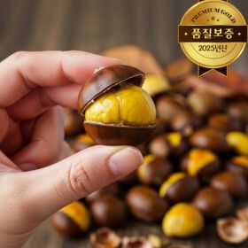 상품 이미지: 칼집 약단밤 25년산 프리미엄 골드 햇단밤 3kg/당일칼집 당일배송