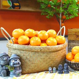 상품 이미지: 산지직송 제주 못난이 천혜향 10kg 사이즈 랜덤 가정용 제주연가