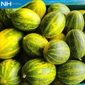 상품 이미지: (신선집중) 파파야 멜론 메론 5kg(8-15과) 농협공동선별