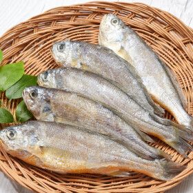 상품 이미지: 반건조 침조기 긴가이석태 7마리 26-28cm 손질