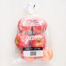 상품 이미지: 셀렉트팜 못난이 사과 얌, 1.5kg(중과, 5~7입), 1개