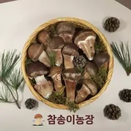 상품 이미지: [참송이농장] 국내산 최상급 참송이버섯 가정용 500g/1kg (3시까지 주문가능)