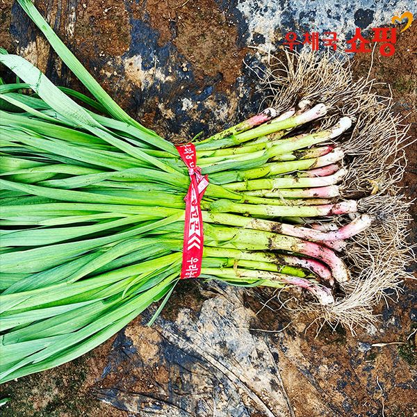 상품 이미지: [우체국쇼핑] 풋마늘 1단 2kg내외