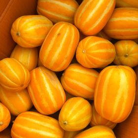 상품 이미지: 성주 참외 고당도 꿀참외 가정용 소과 4.5kg (실중량)