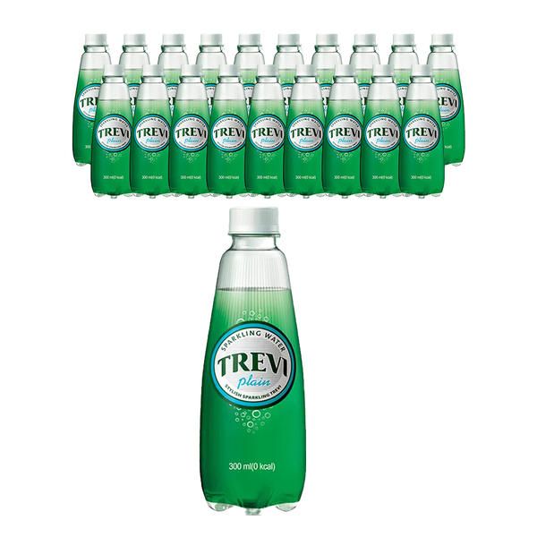 상품 이미지: 트레비 플레인 300ml, 20개