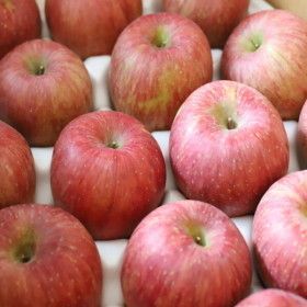 상품 이미지: (2.5kg+2.5kg) 사과 부사사과 빨간사과 가정용 (총 5kg) 소과 (40과 내외) / 초특가 행사