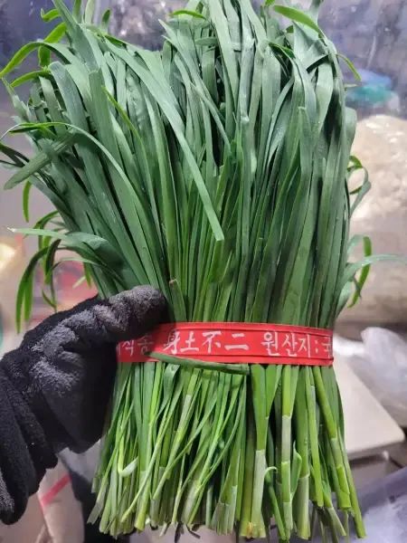 상품 이미지: 부추 1kg 1단 야채맘