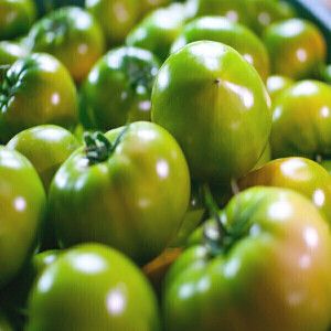 상품 이미지: 대저토마토 2.5kg 아삭짭짤 옵션선택 제철 토마토 특품 산지직송