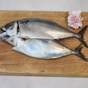 상품 이미지: 국내산 부산 손질 대왕 자반고등어 10미 대짜 (3.7kg 내외) / 빅세일 감사쿠폰 선착순 증정