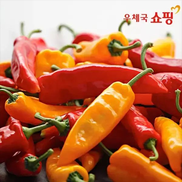 상품 이미지: [우체국쇼핑] 전북 김제 오아로 트리벨리 파프리카 1.2kg