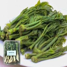 상품 이미지: (물가안정)(신선집중) 남해 해풍맞은 땅두릅 500g 제철 봄 나물 건강식 DO