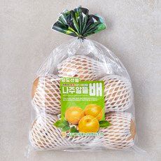 상품 이미지: 나주 GAP 인증 당도선별 알뜰배 3~6입, 3kg, 1개