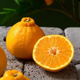 상품 이미지: 더자인   제주직송  새콤달콤 노지 한라봉 10kg 소과 (개당 150g미만)