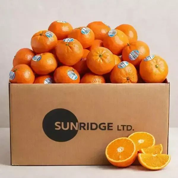 상품 이미지: 썬리지 탱고품종 초고당도 만다린 2kg (20과~31과)