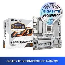 상품 이미지: GIGABYTE B850M DS3H ICE 피씨디렉트