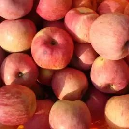 상품 이미지: 사과 부사 사과 4kg 소과 (25-35과 내외) 가정용 흠과