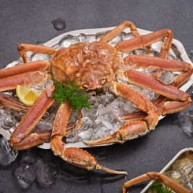 상품 이미지: (신선집중) 활대게를 바로 자숙한 프리미엄 대게 1kg (1미/수율 90%/자사 직수입/자체 HACCP시설 자숙)