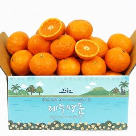 상품 이미지: 제주 서귀포 카라향 감귤 2.5kg 프리미엄 중대과(L-2L) / 고당도 / 26년 첫출하