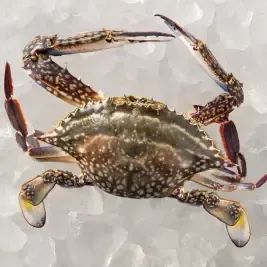 상품 이미지: [대한민국농수산] 2026 제철 활 암꽃게 1/2kg