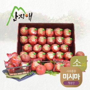 상품 이미지: 산지애 씻어나온 어린이 꿀사과 5kg 1box (소과) / 청송 미시마 세척사과
