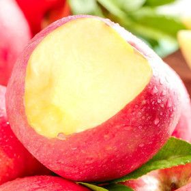 상품 이미지: 하루쿠폰초특가 청송 부사 사과 가정용 소과 10kg 상큼달콤 경북