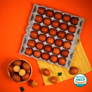 상품 이미지: 단 하루 특가) 맛난 구운란 중란 60구 HACCP인증 건강간식 구운계란