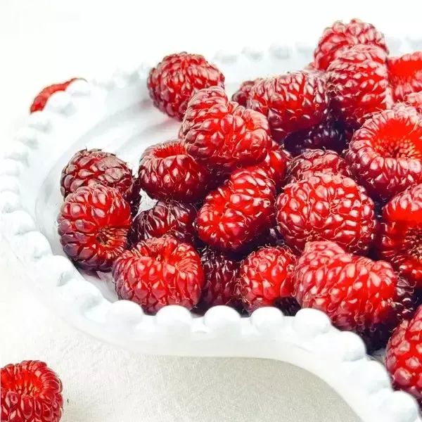 상품 이미지: [백수네상회](타임스퀘어점리빙관)마이구미 산딸기,1팩(250g)