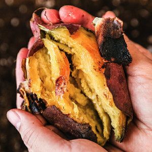 상품 이미지: (신선집중) 고창 김민상님의 황토밭 햇 꿀밤고구마 5kg 특상 / 25년 햇고구마