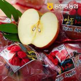 상품 이미지: 동안동농협 고당도 정품 세척 사과 5kg (28과내)