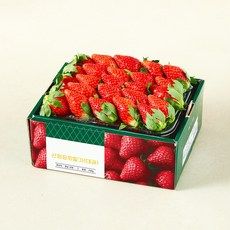 상품 이미지: GAP 인증 산청 장희딸기 대, 1개, 750g