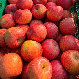 상품 이미지: (한정수량특가) 사과 고당도 A급 가정용 부사사과 소과 4.5kg(실중량) 25-35과