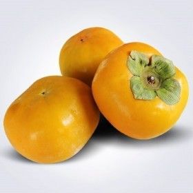 상품 이미지: 달콤아삭 경남 단감 흠과 10KG 달콤아삭 경남 단감 흠과 가정용햇단감 10KG5KG