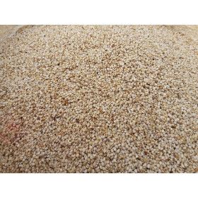 상품 이미지: 산지직송 올해 수확 국산 햇 참깨 1kg 고급형